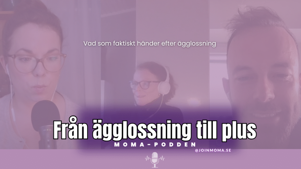 från ägglossning till plus på stickan
