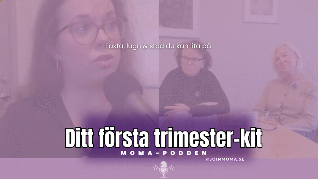 Ditt första trimester-kit: Fakta, lugn & stöd du kan lita på